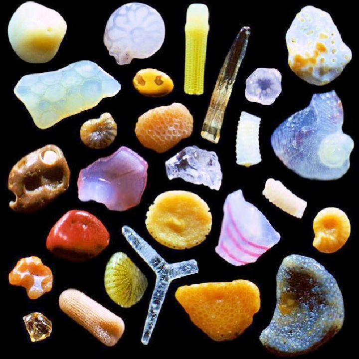 Sand under a Microscope; How Does Magnified Sand Look?