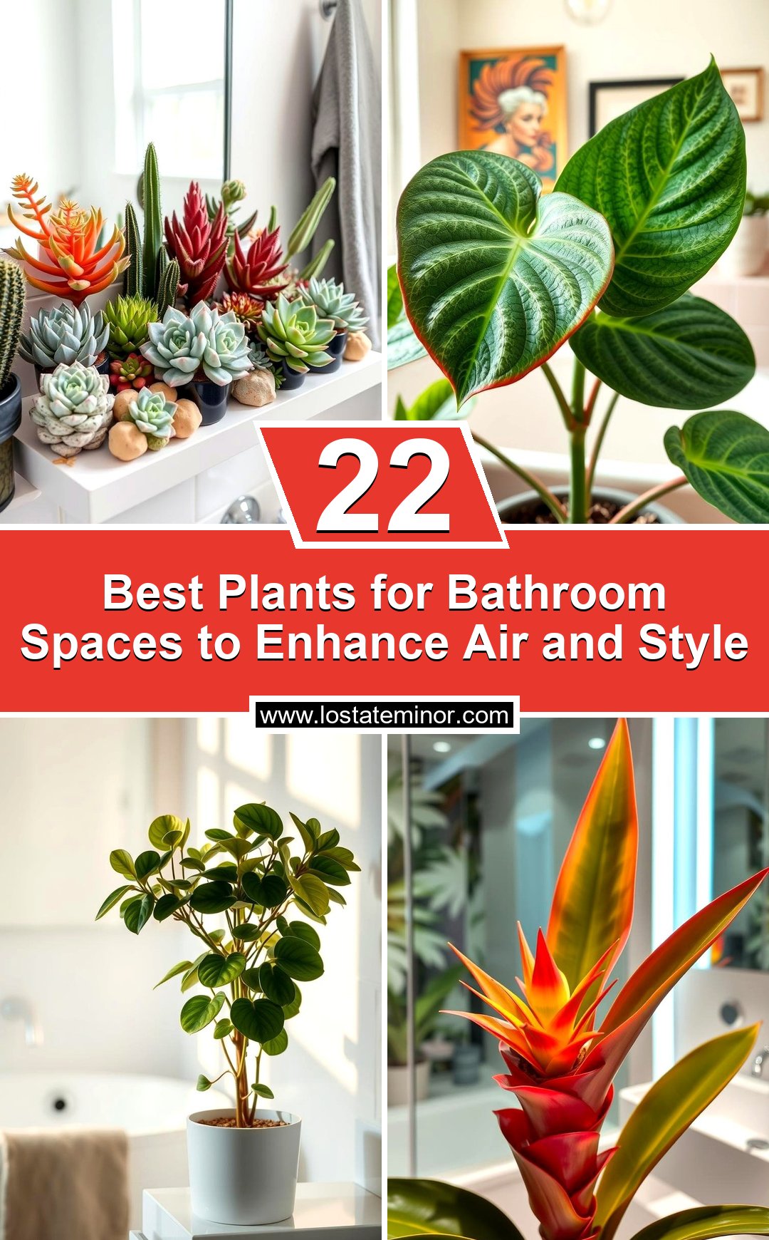 22 Best Plants for Bathroom Spaces to Enhance Air and Style - Lost At E ...