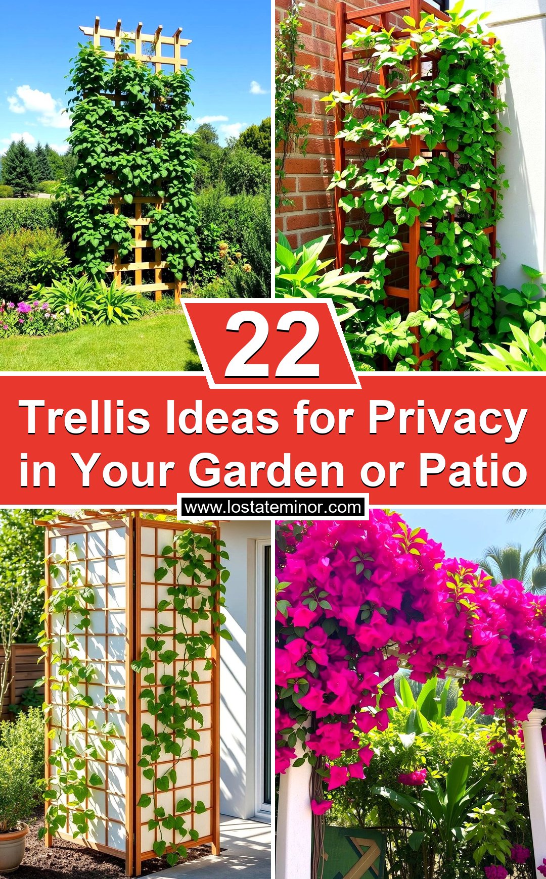22 Trellis Ideas for Privacy in Your Garden or Patio - Lost At E Minor